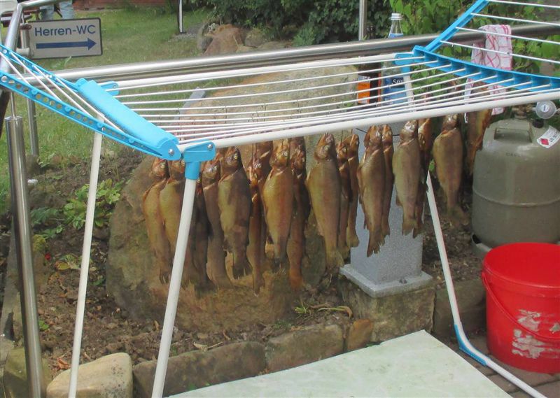 borken 2017 093_1500x1067.jpg